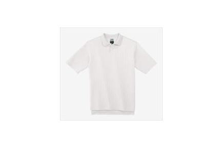 Adidas ClimaLite Mercerized Drop Needle Polo