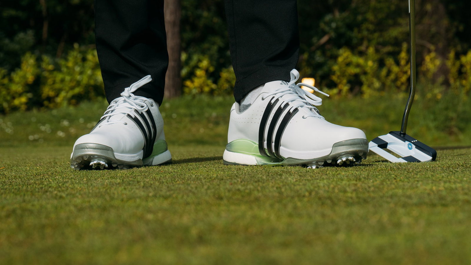 adidas TOUR360 24
