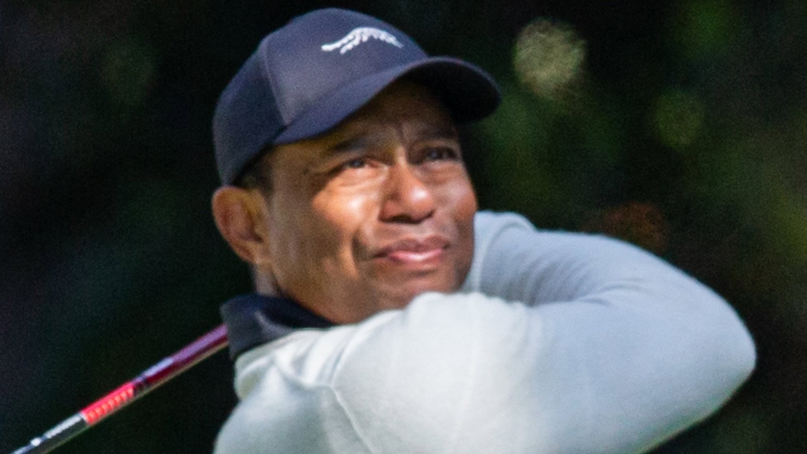 Tiger Woods 