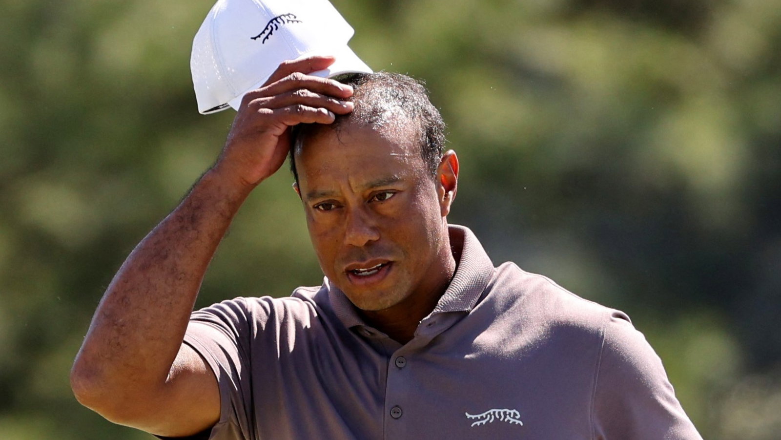 Tiger Woods 