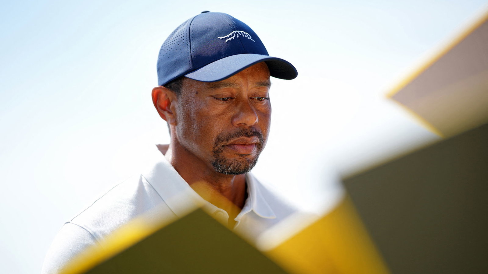 Tiger Woods 