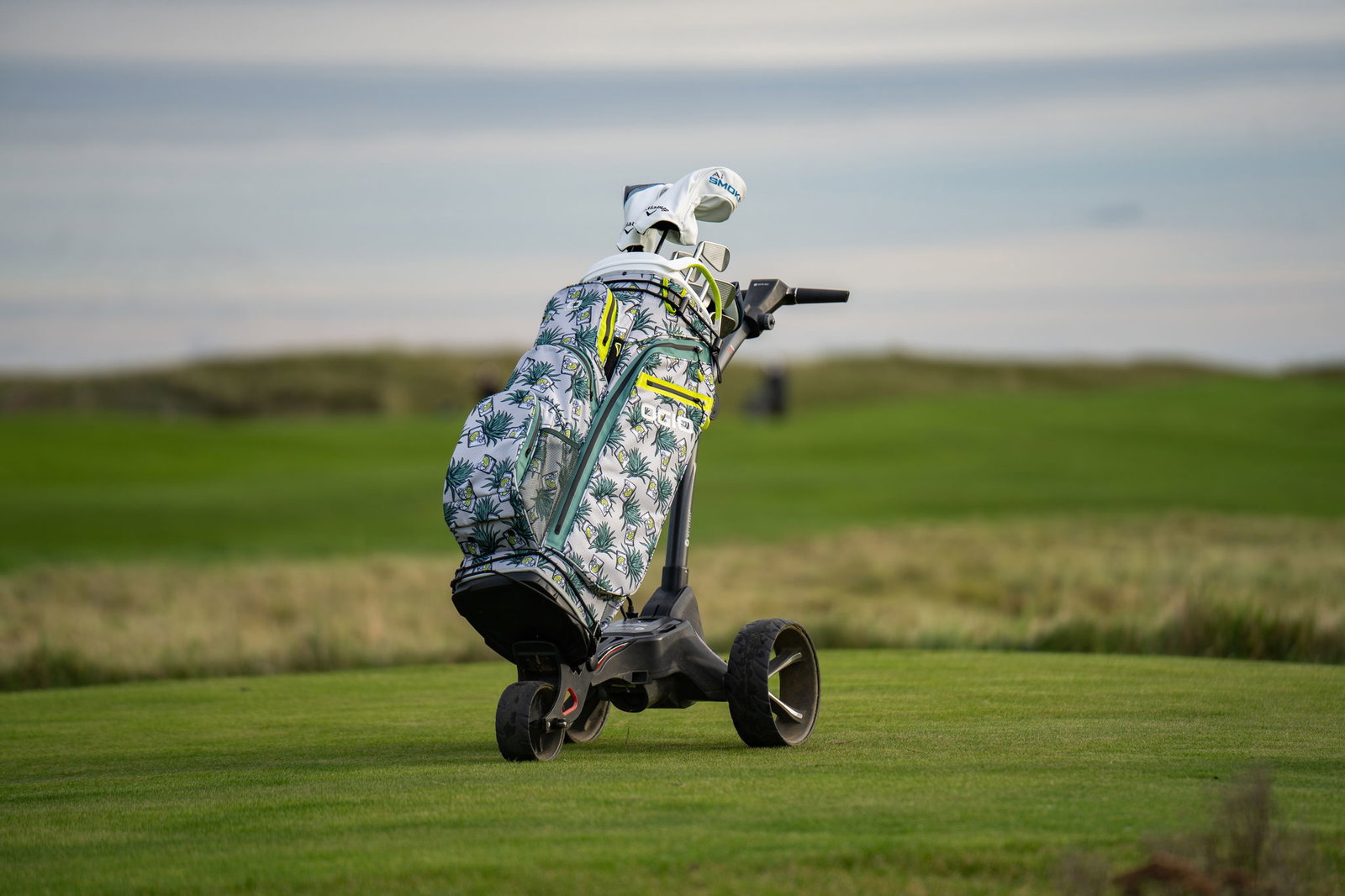 OGIO Agave Ahora Golf Bag