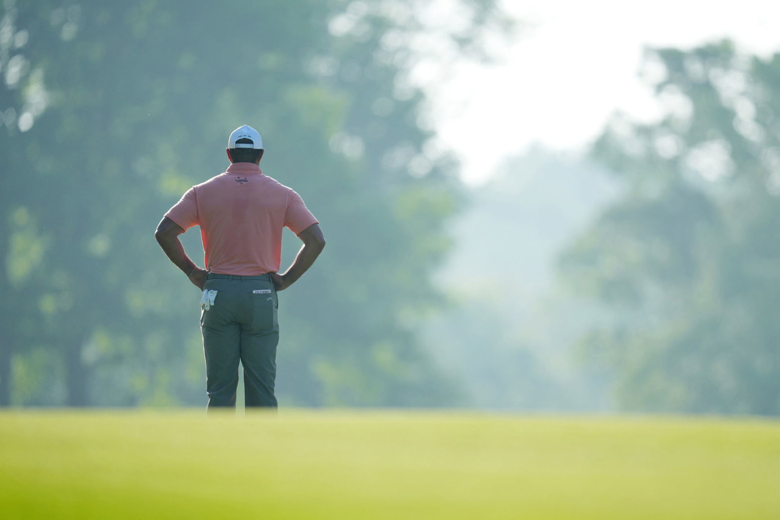 Tiger Woods
