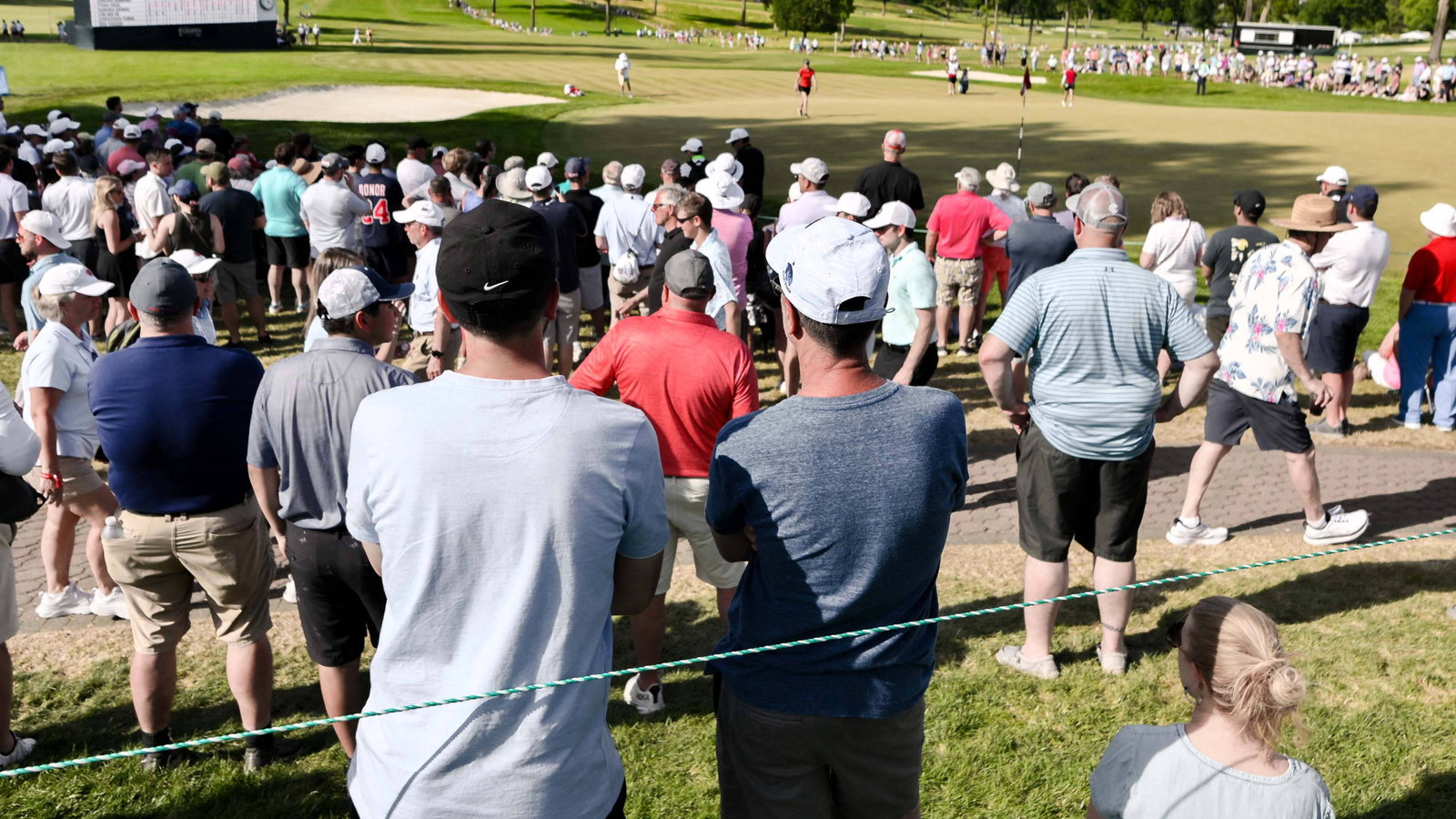 A fan was struck by a ball with no shout of 'FORE'
