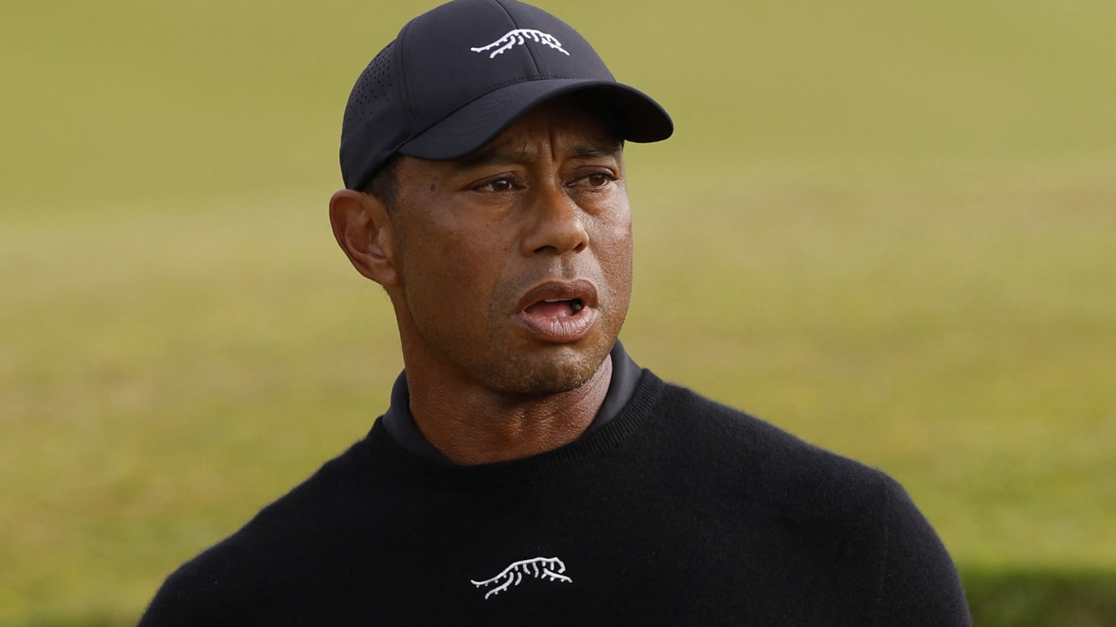 Tiger Woods 