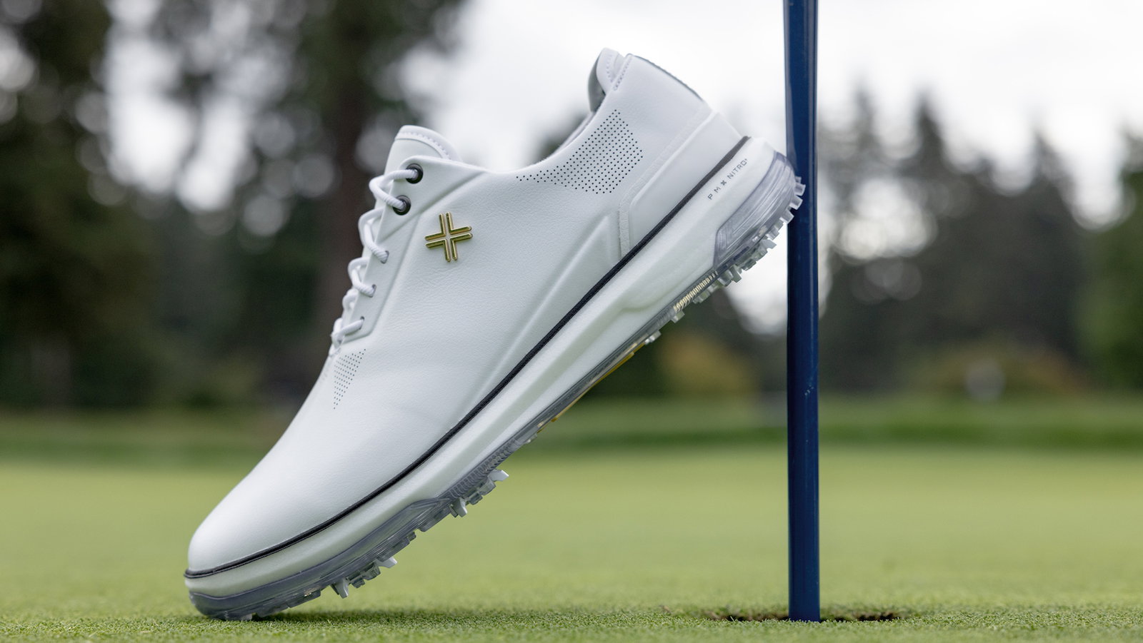 Payntr Eighty Seven SC