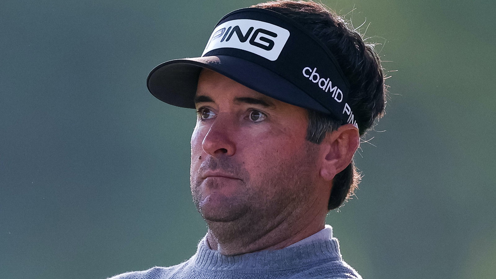 Bubba Watson 