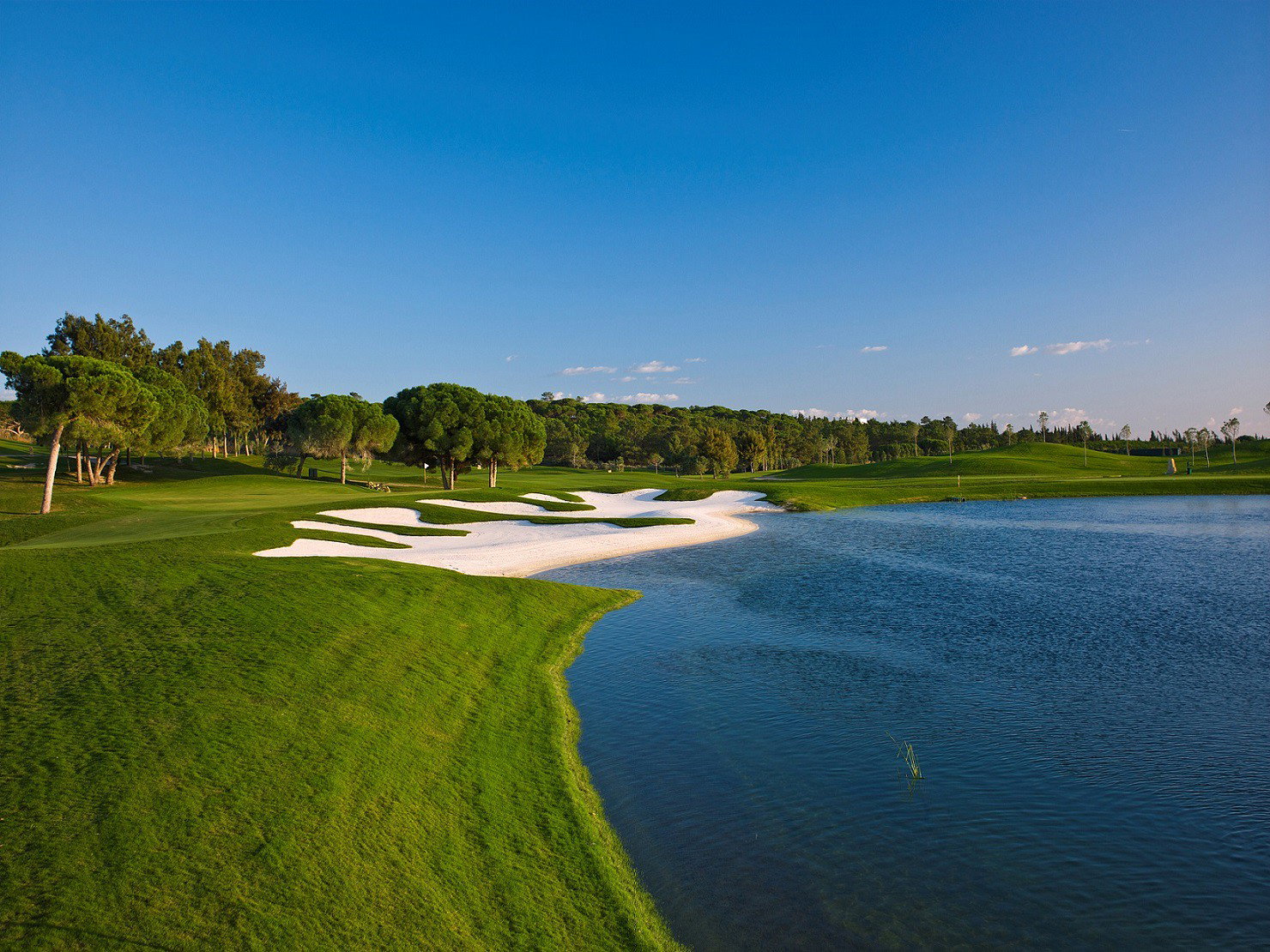 Quinta Do Lago Laranjal