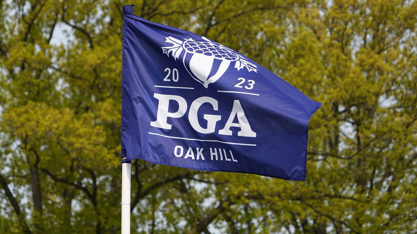 Davis Love III has undergone open-heart surgery