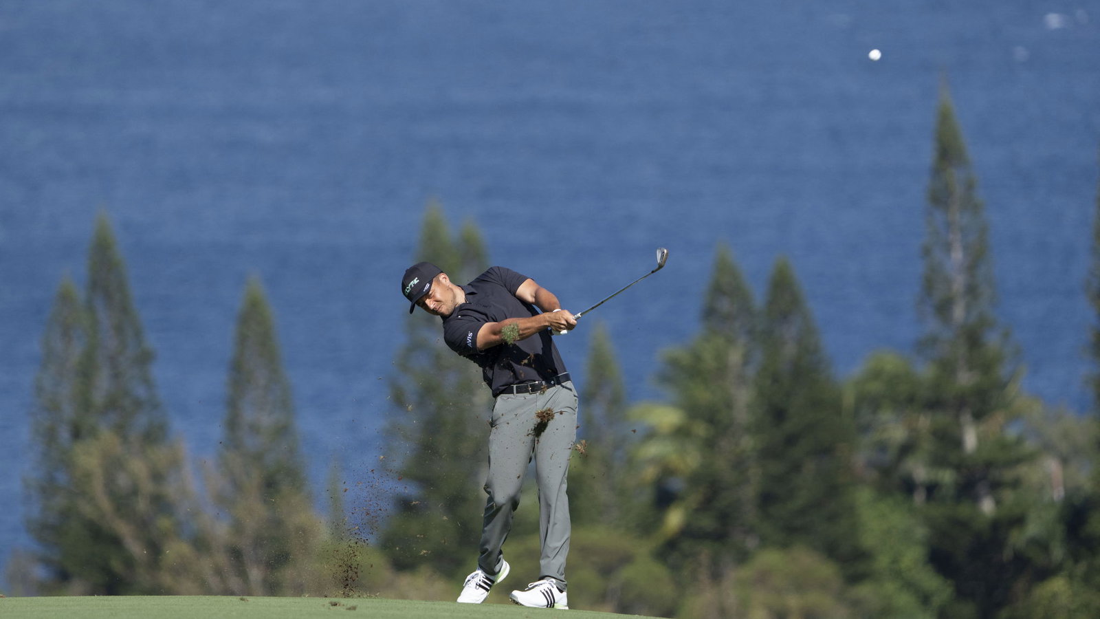Xander Schauffele