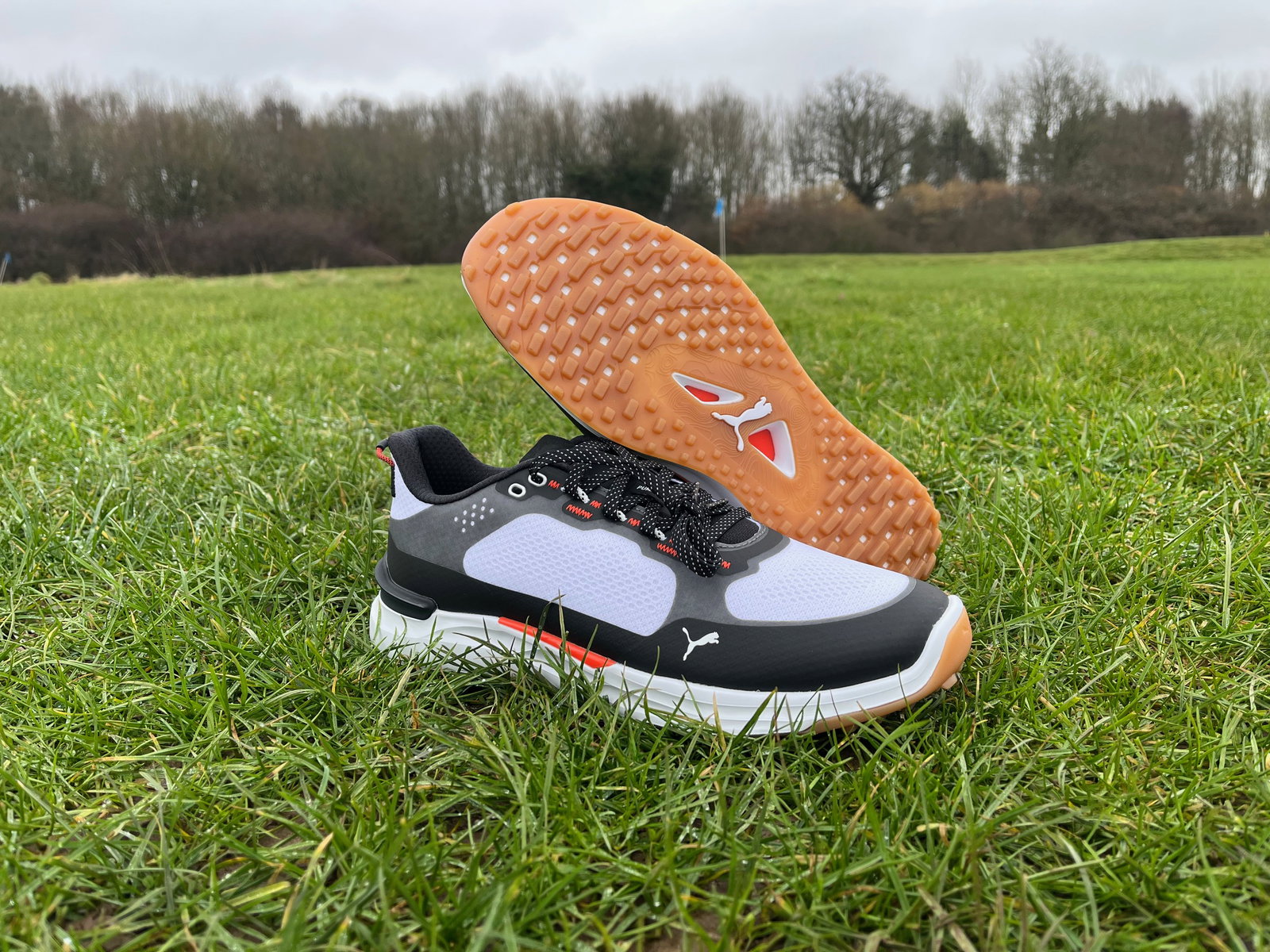 PUMA Ignite Elevate X Golf Shoes 2025 Review