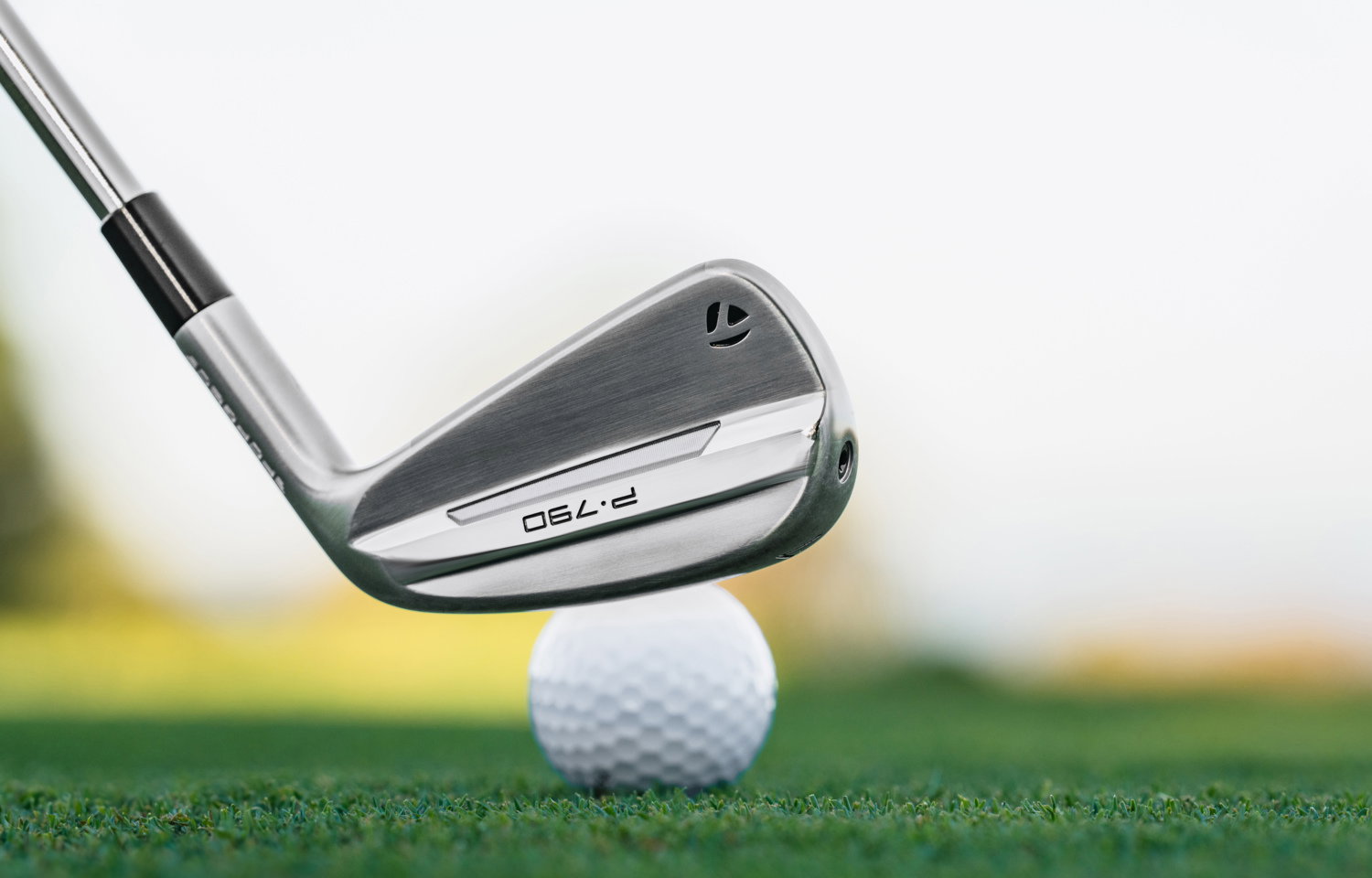 NEW TaylorMade P·790 irons