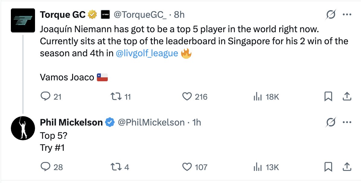 Mickelson thinks Niemann is World No.1