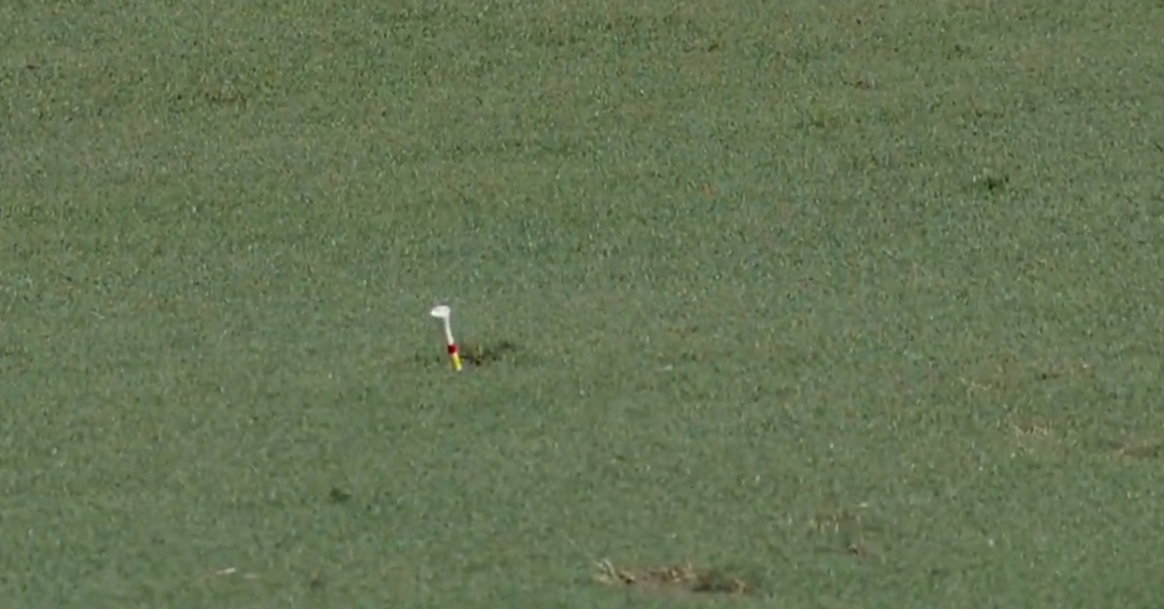 Clark's tee peg in the ground