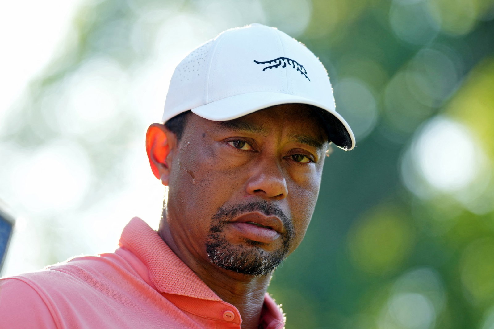 Tiger Woods