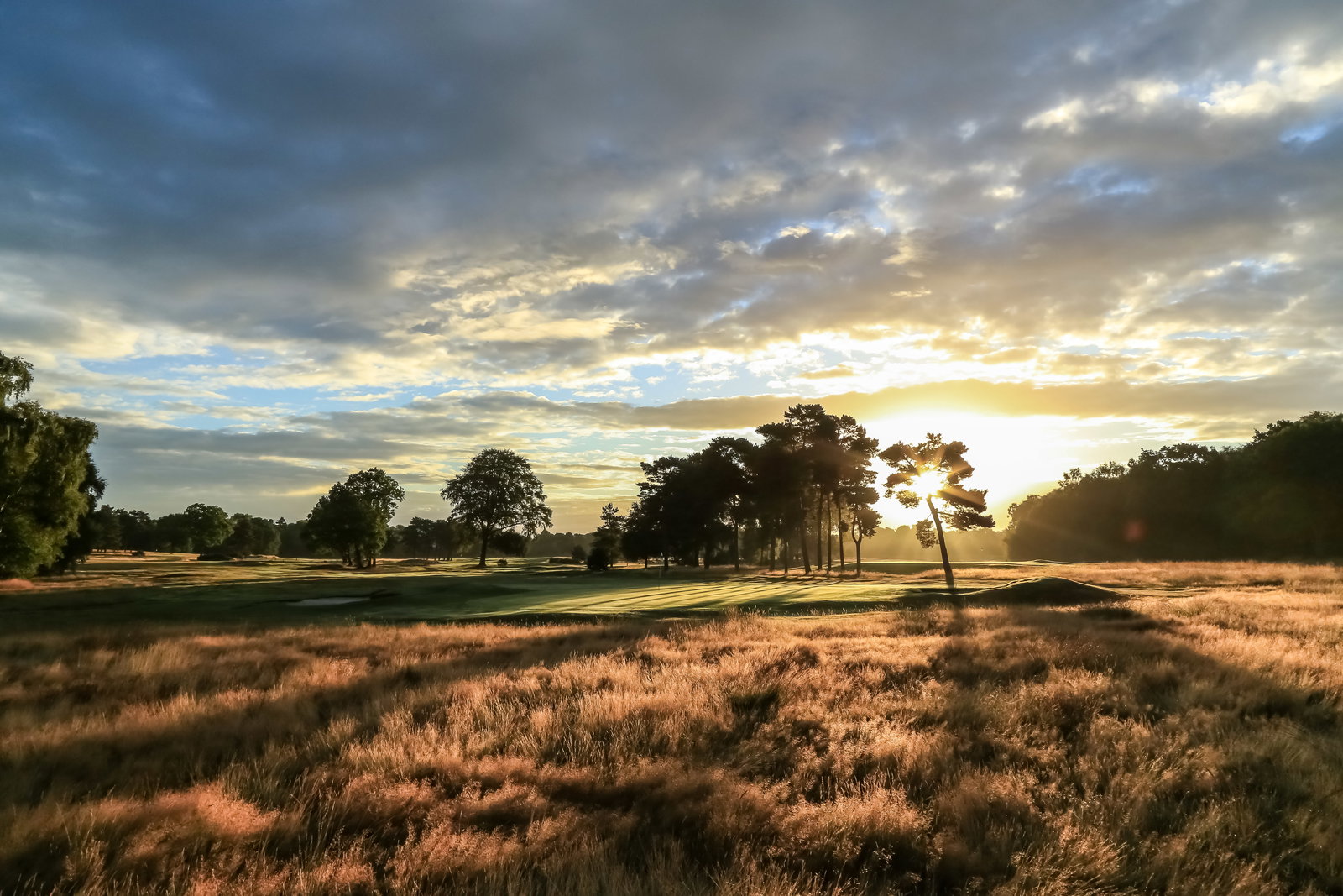 9th at Moortown GC [Mike Hyde]