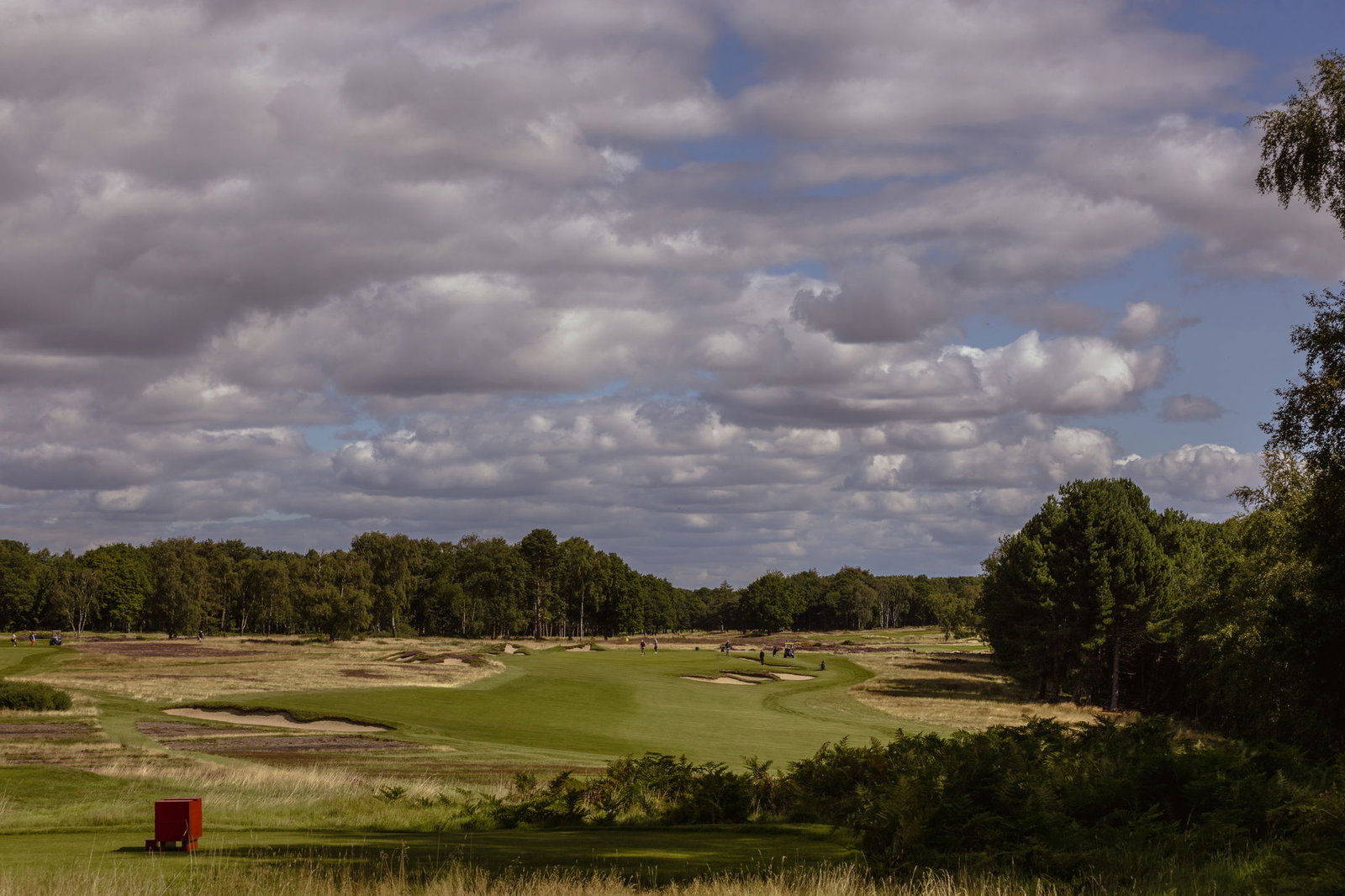 The 5th at Alwoodley 