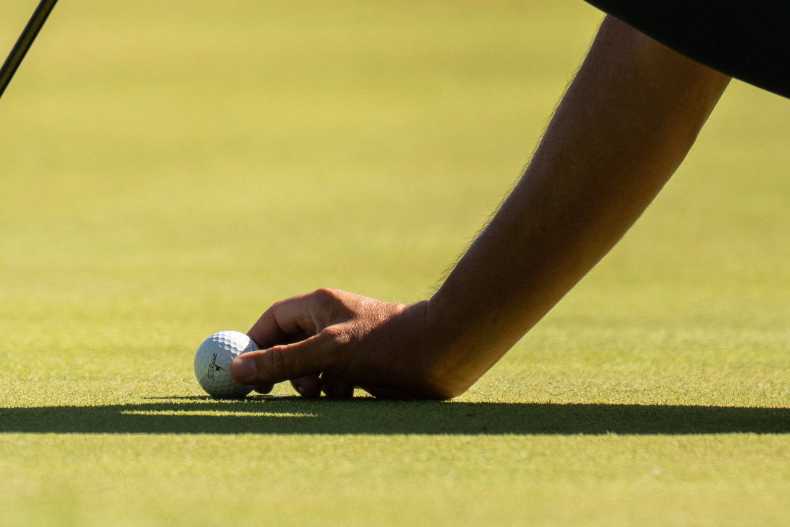 PGA Tour pro WDs from John Deere Classic