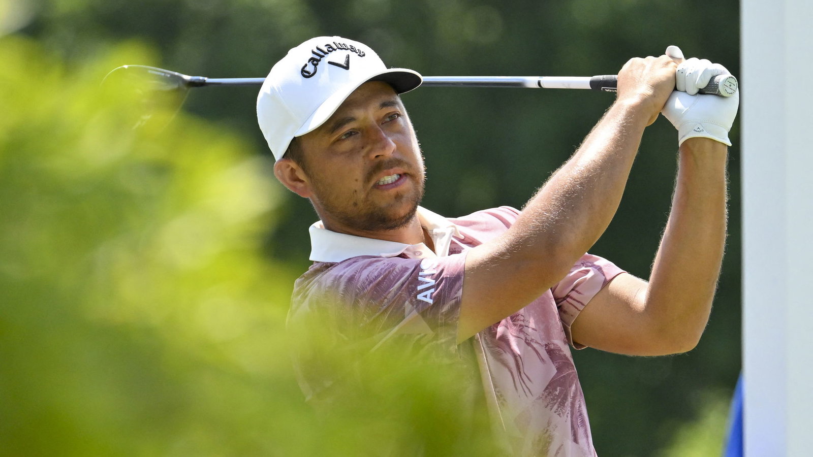 Xander Schauffele 