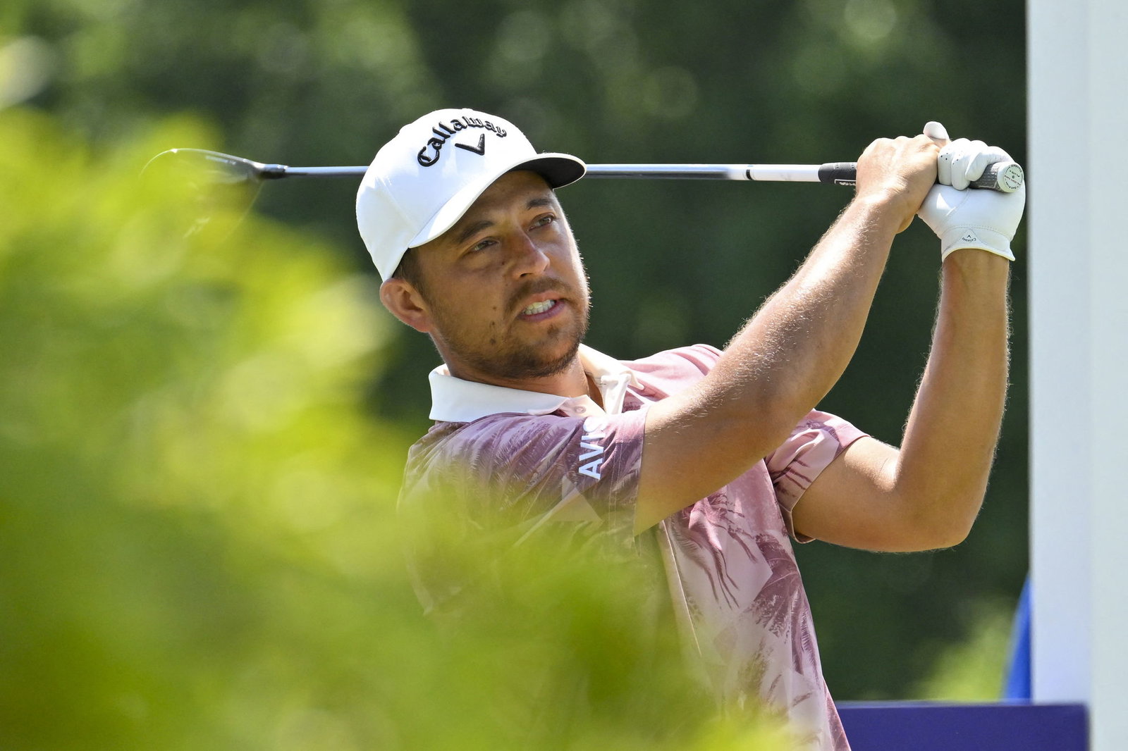 Xander Schauffele 