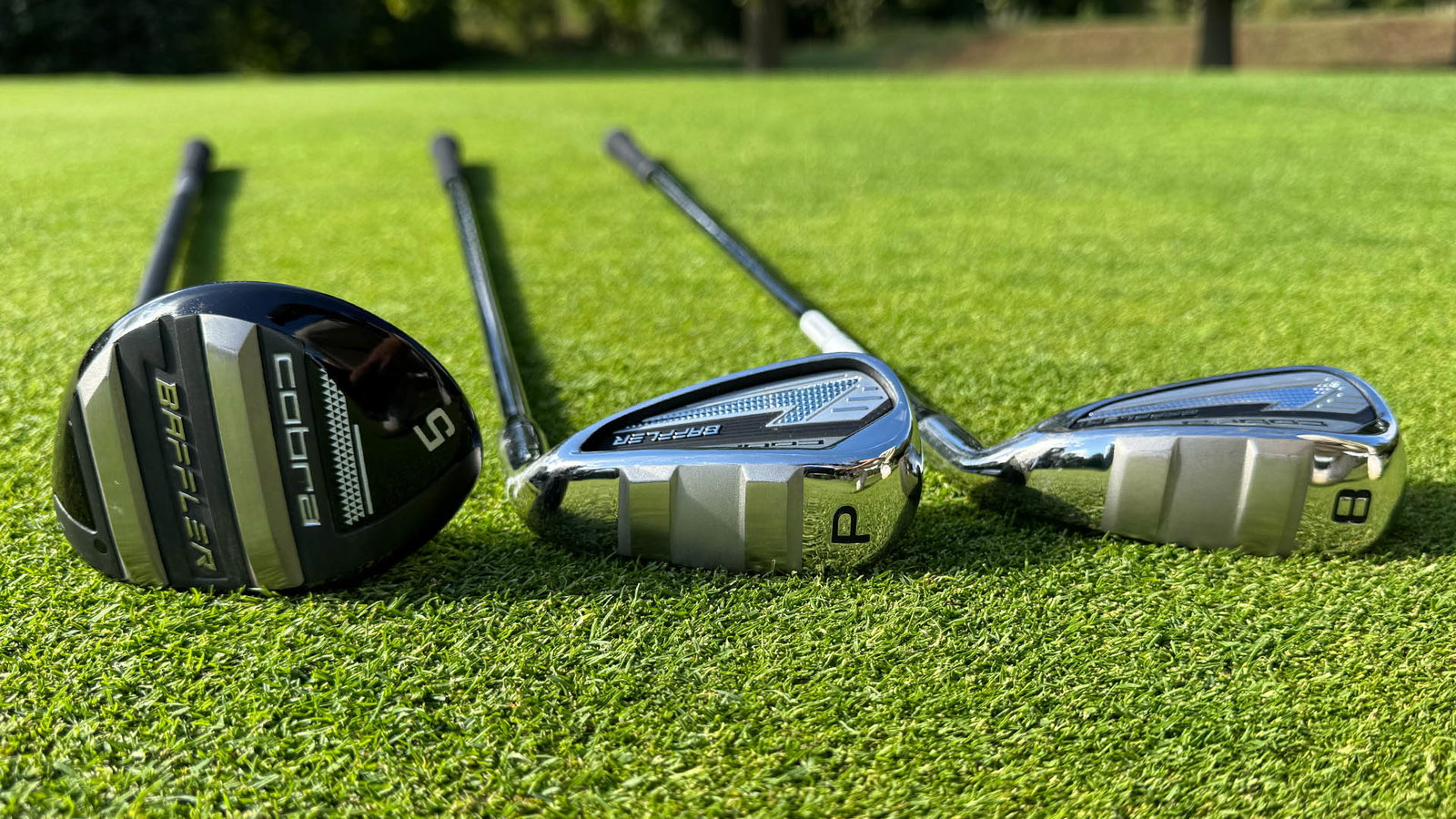 Cobra Baffler Combo Set Review: The best value beginner clubs on