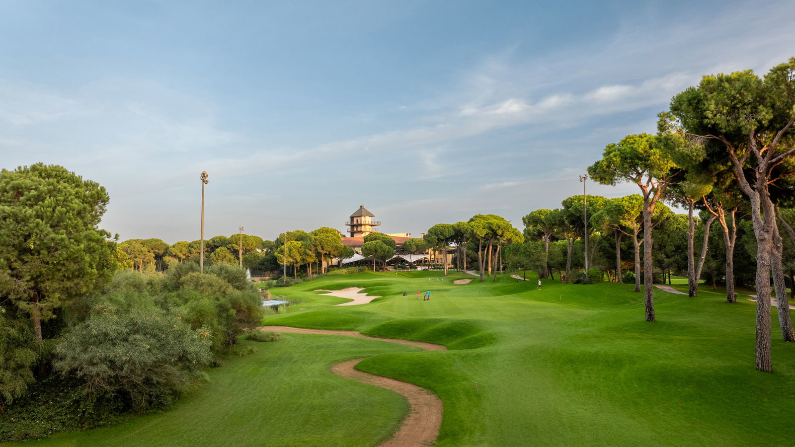 Montgomerie Maxx Royal