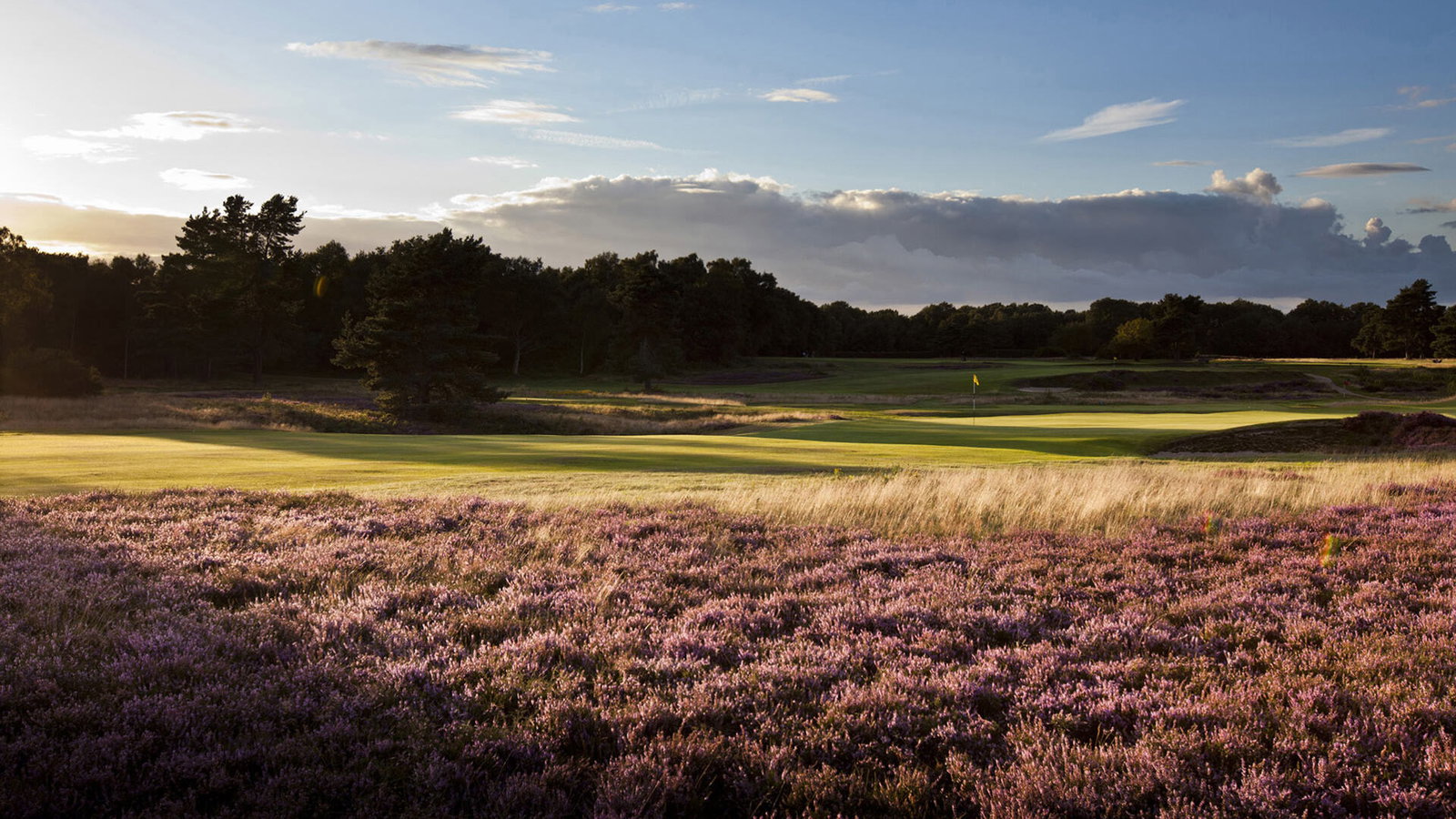 Walton Heath Golf Club