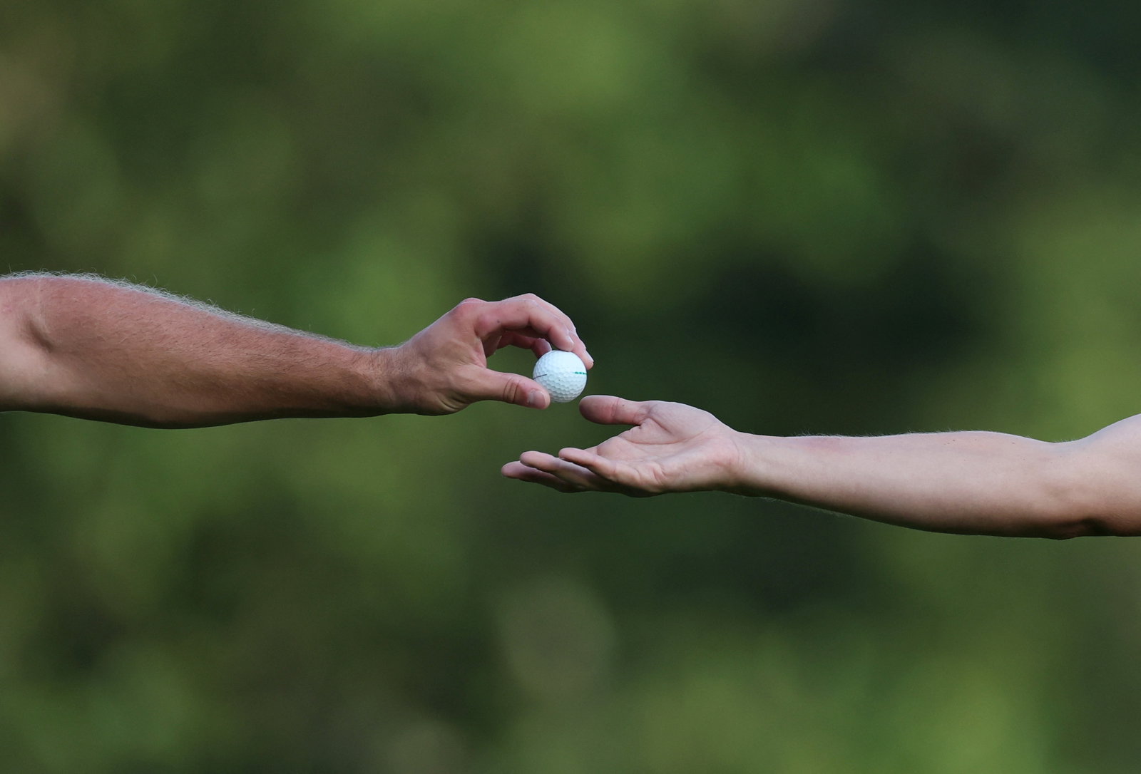 Beef will return at the Australian PGA