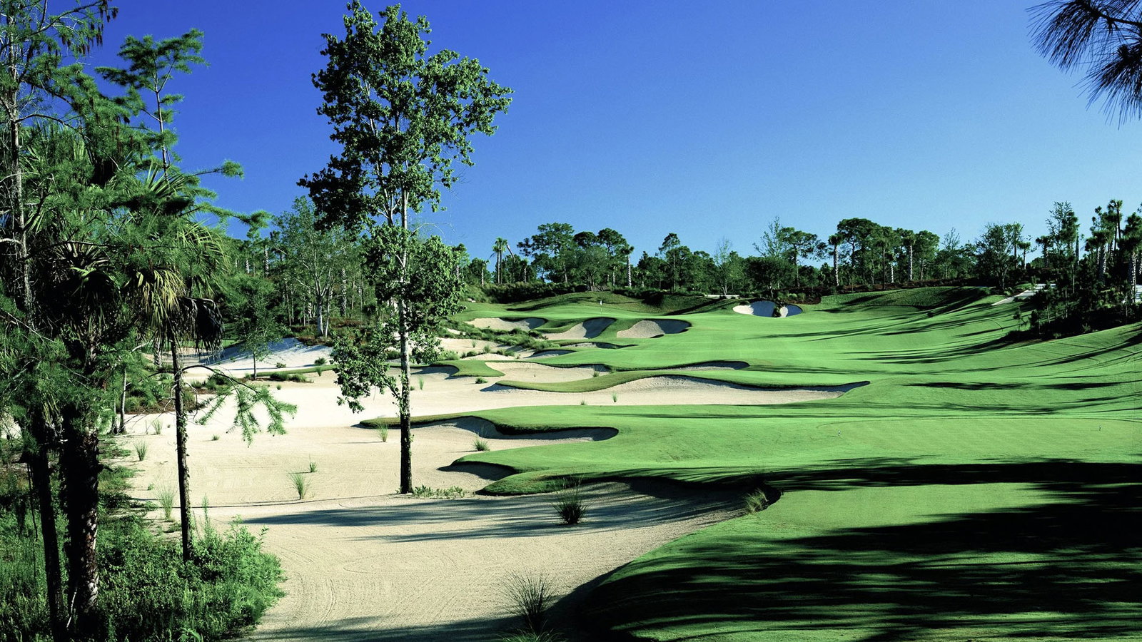 Calusa Golf Club