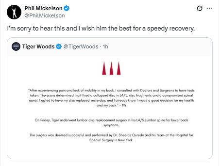 Mickelson's message for Woods