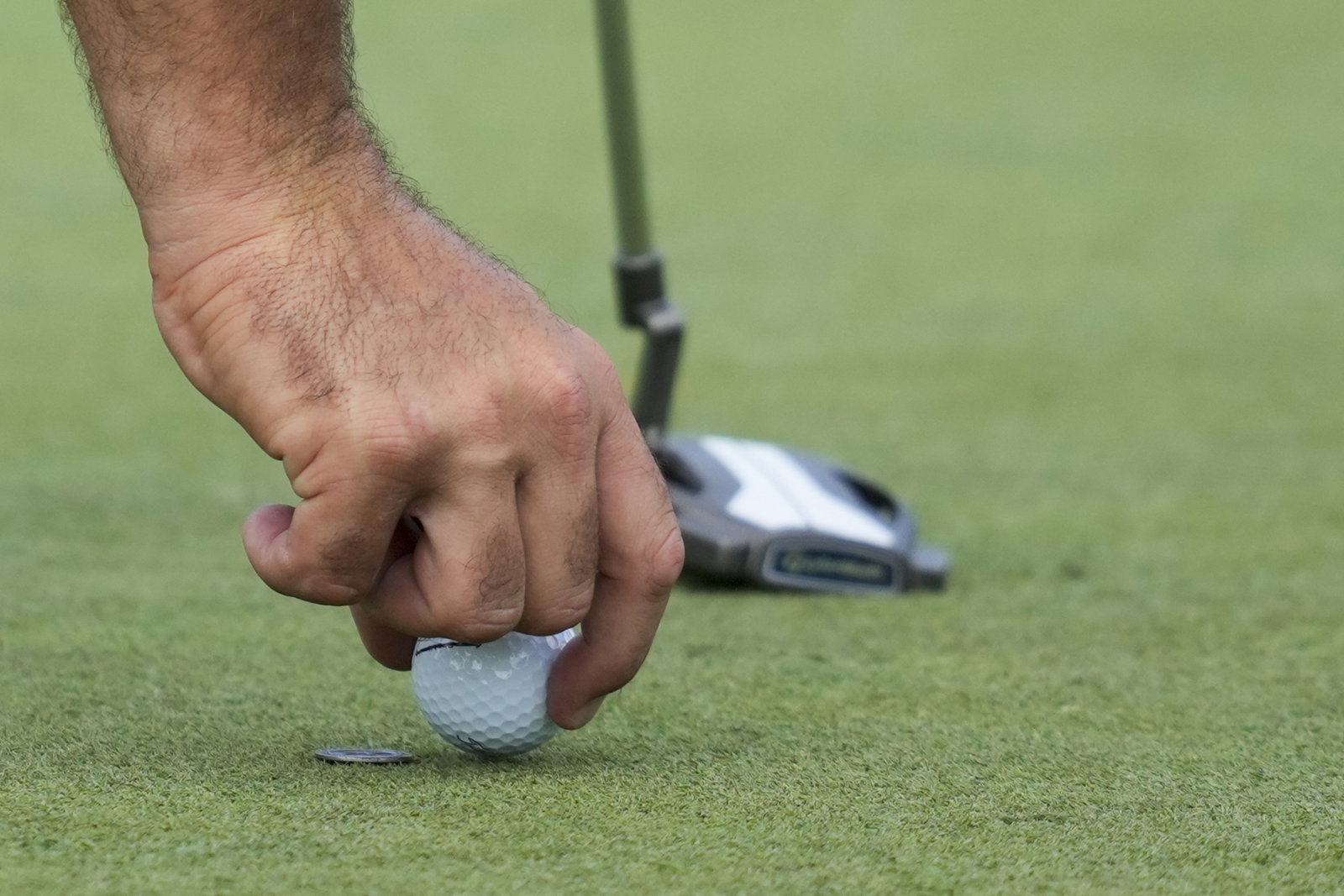 The Rolex Grand Final is being played this week