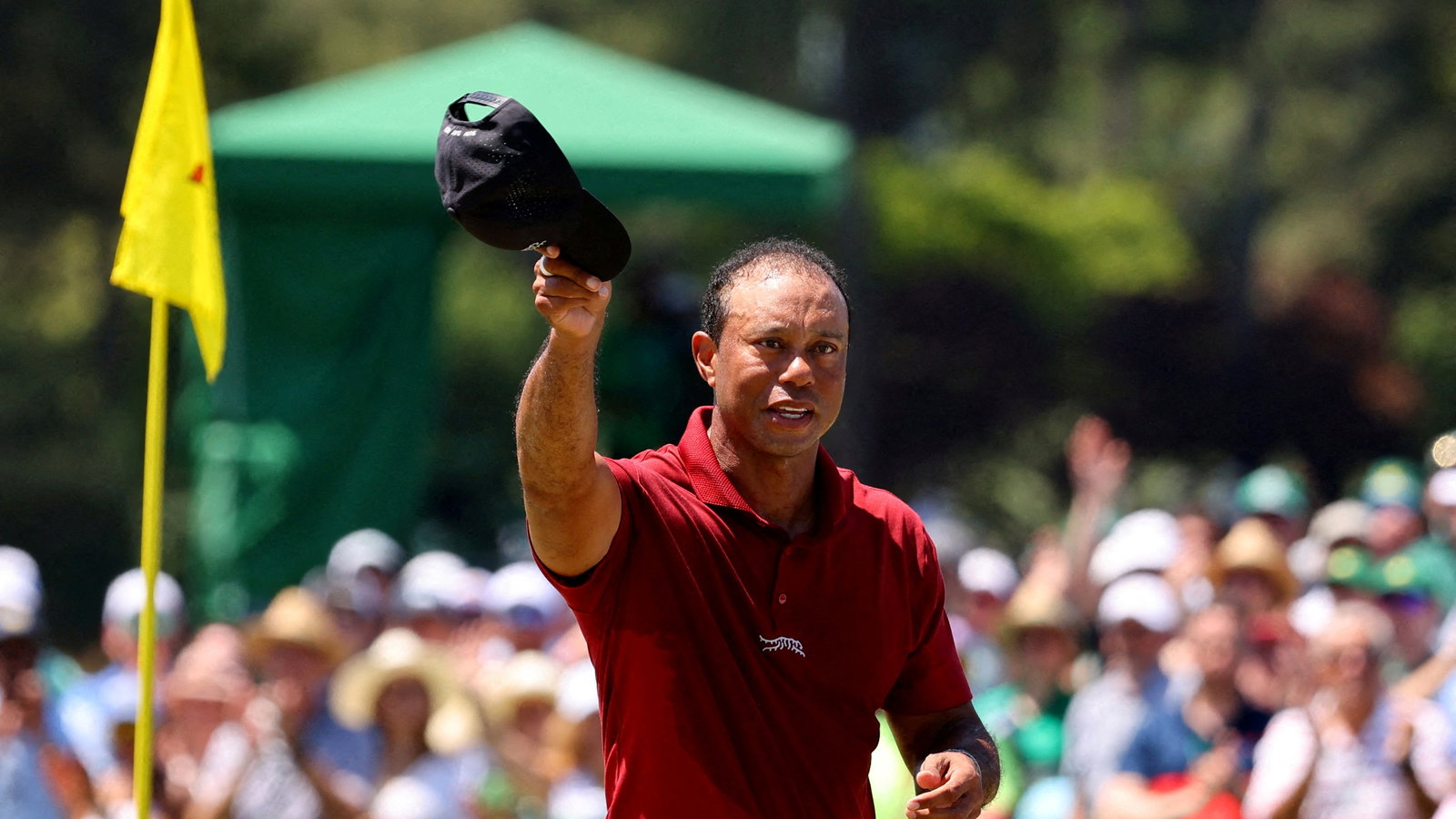 Tiger Woods