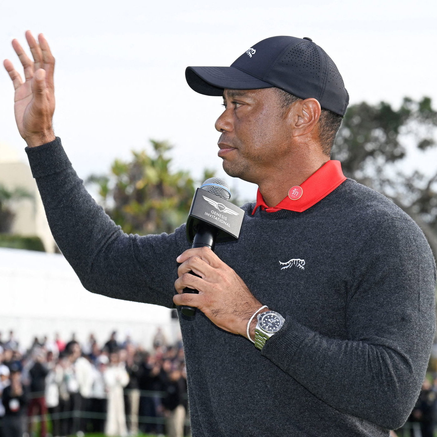 Tiger Woods 