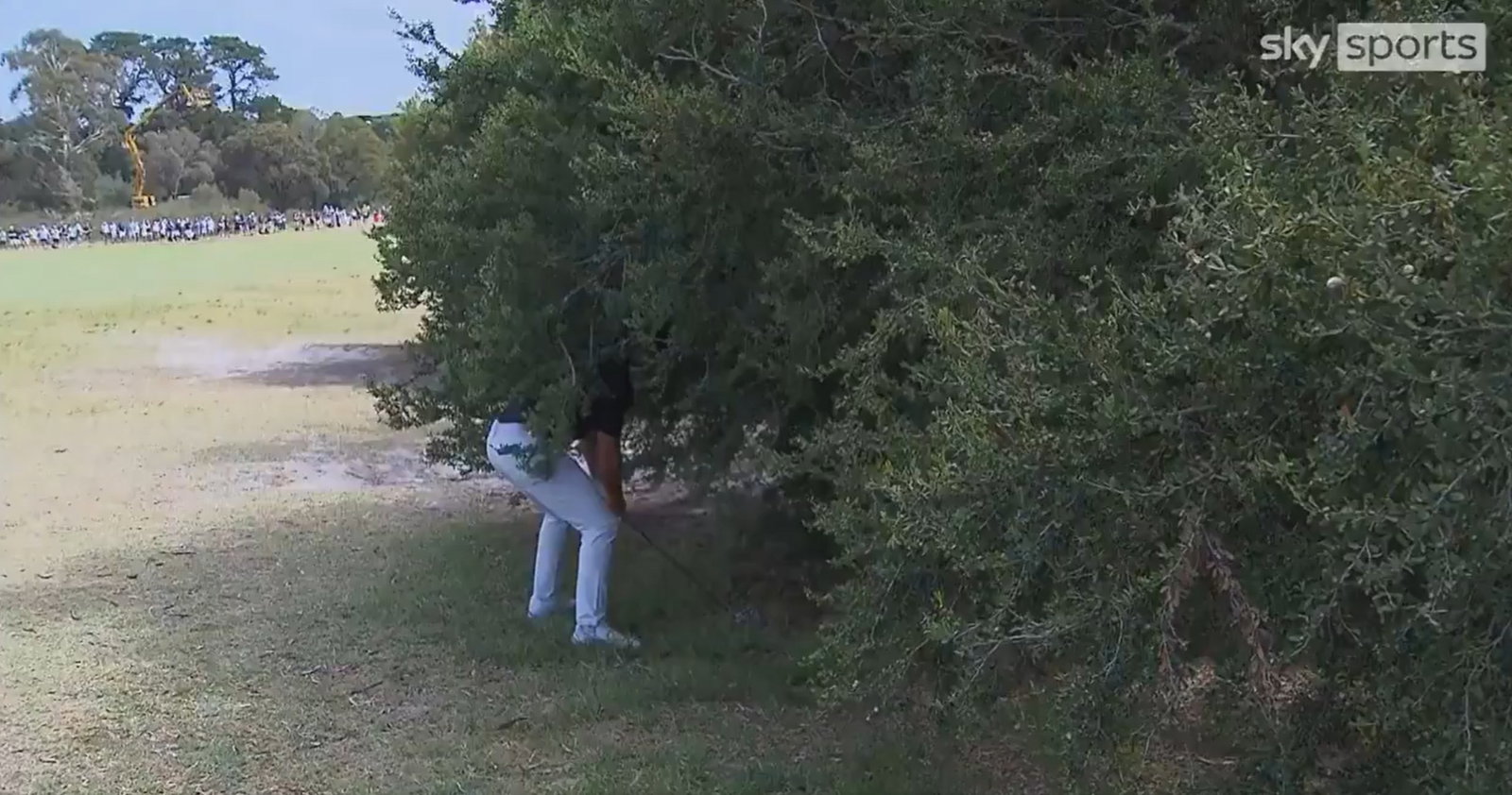 Credit: X/SkySportsGolf