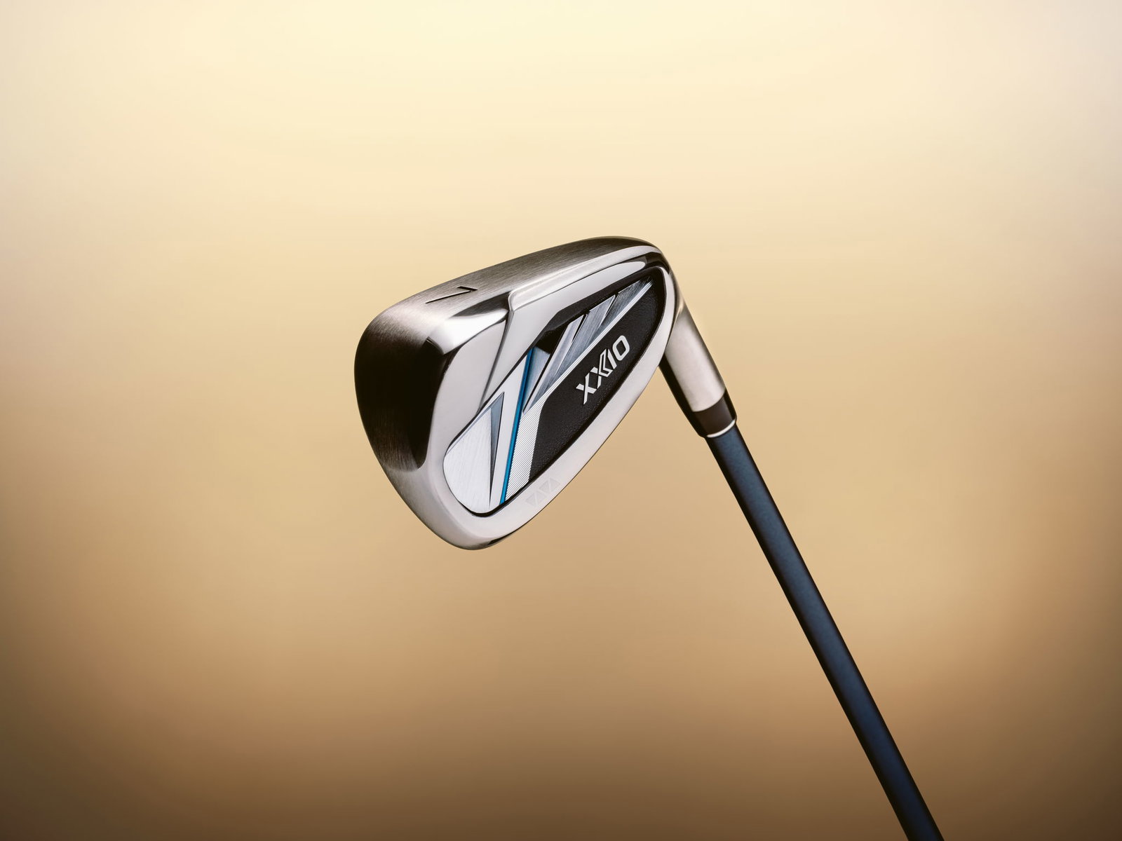 XX1O Irons