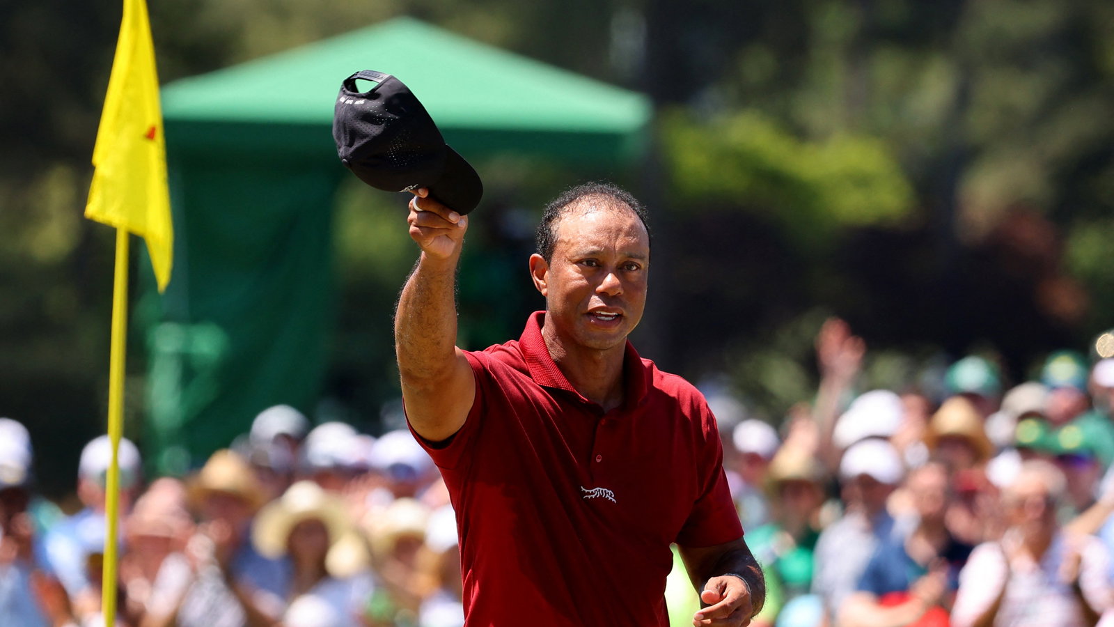 Tiger Woods