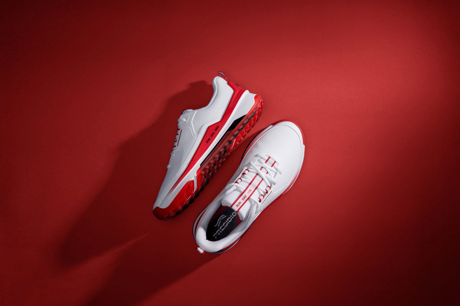 The Presidio will be available from 17 February