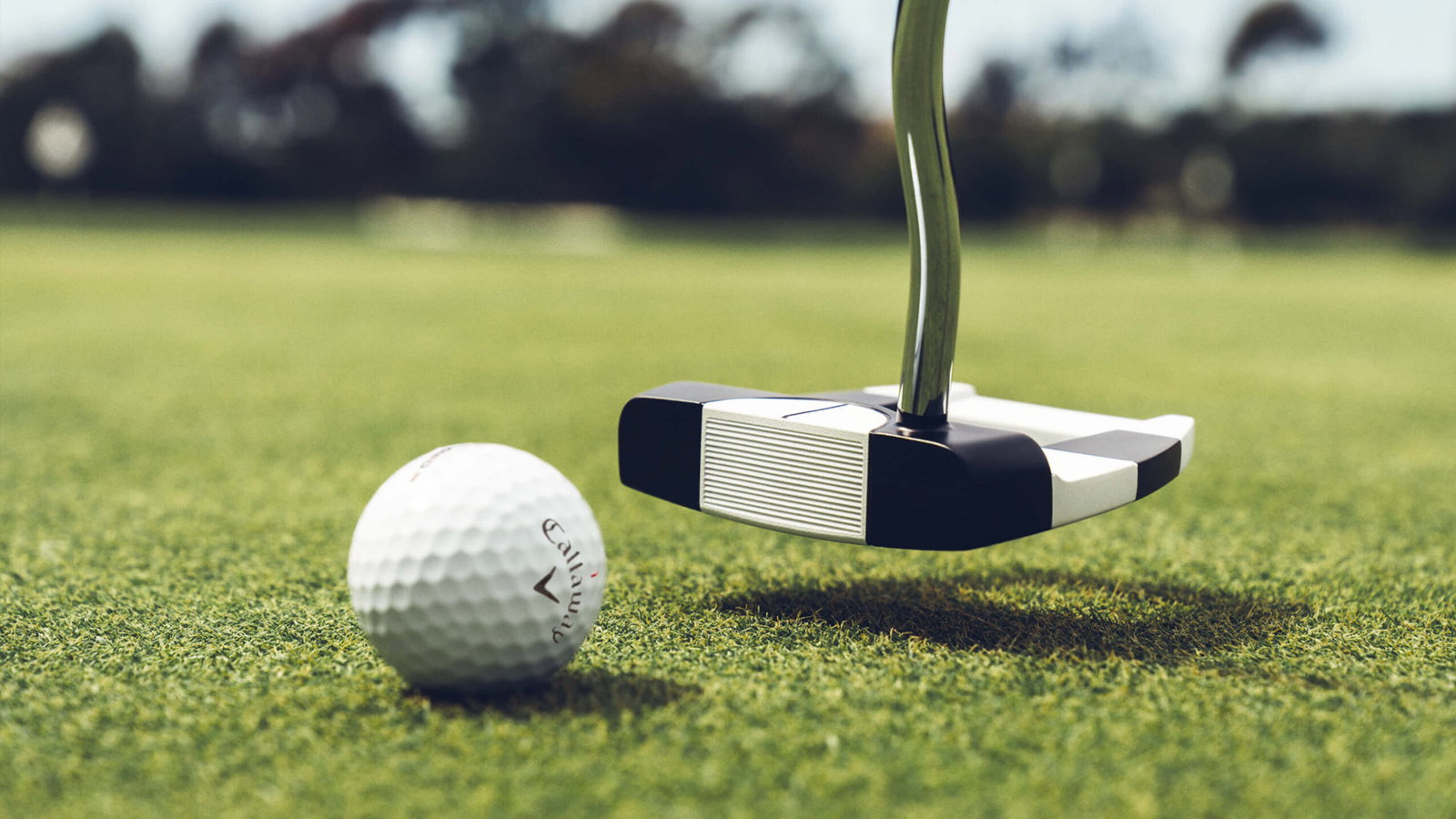 The Ai-DUAL range's new 1/2 ball alignment aid. Courtesy Odyssey