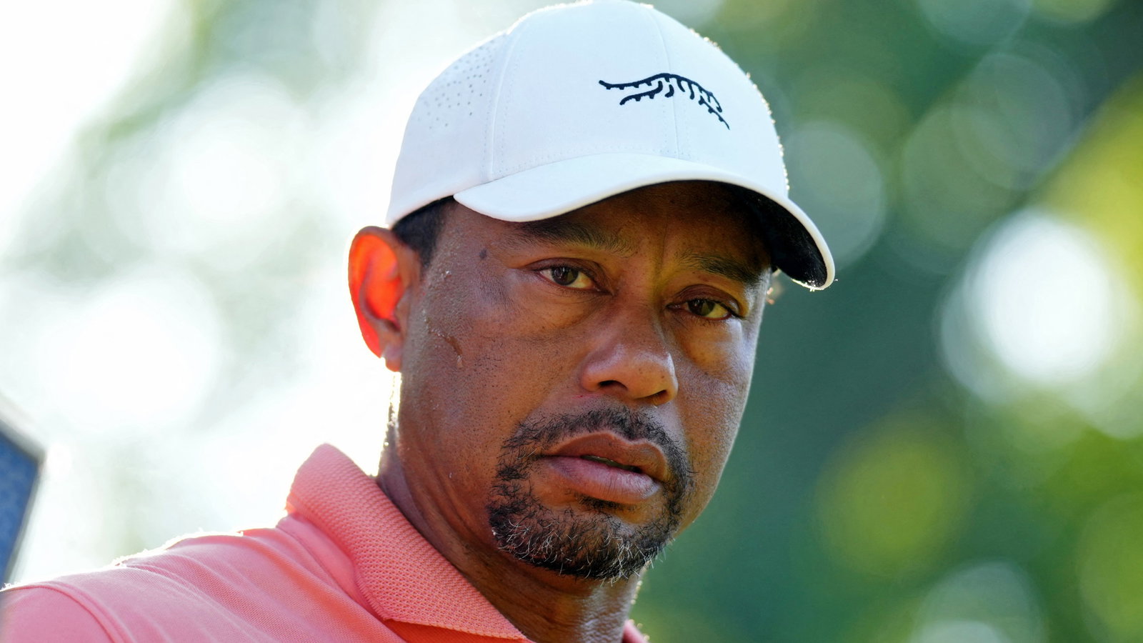 Tiger Woods