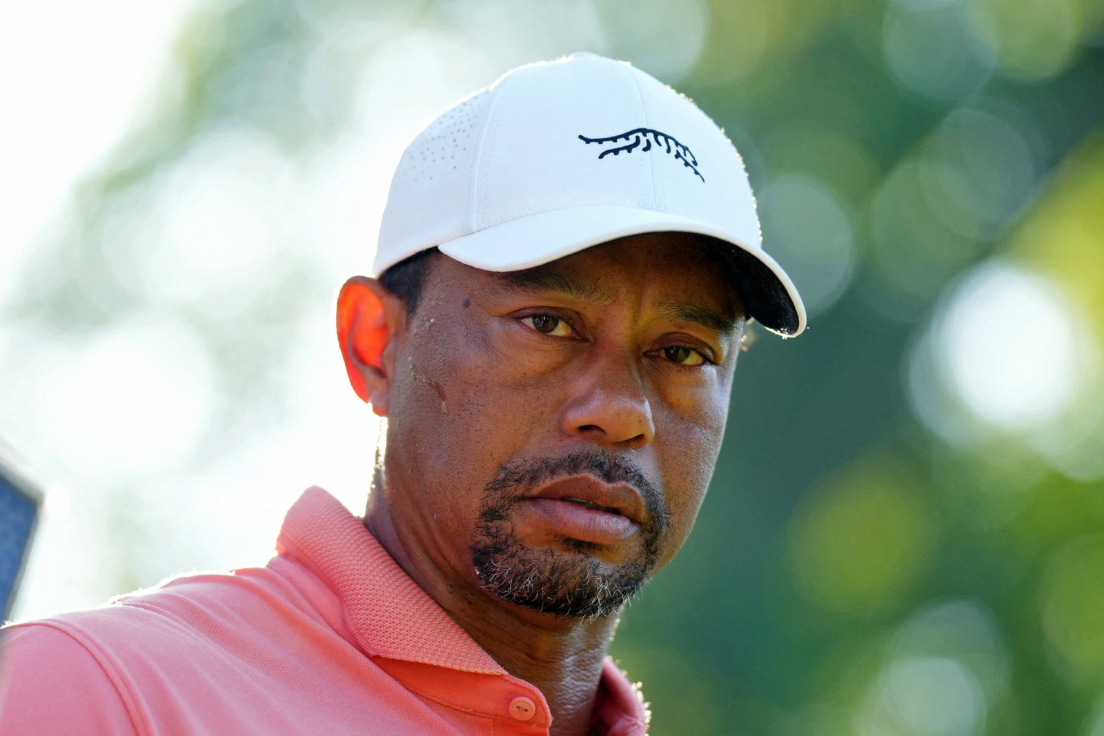 Tiger Woods