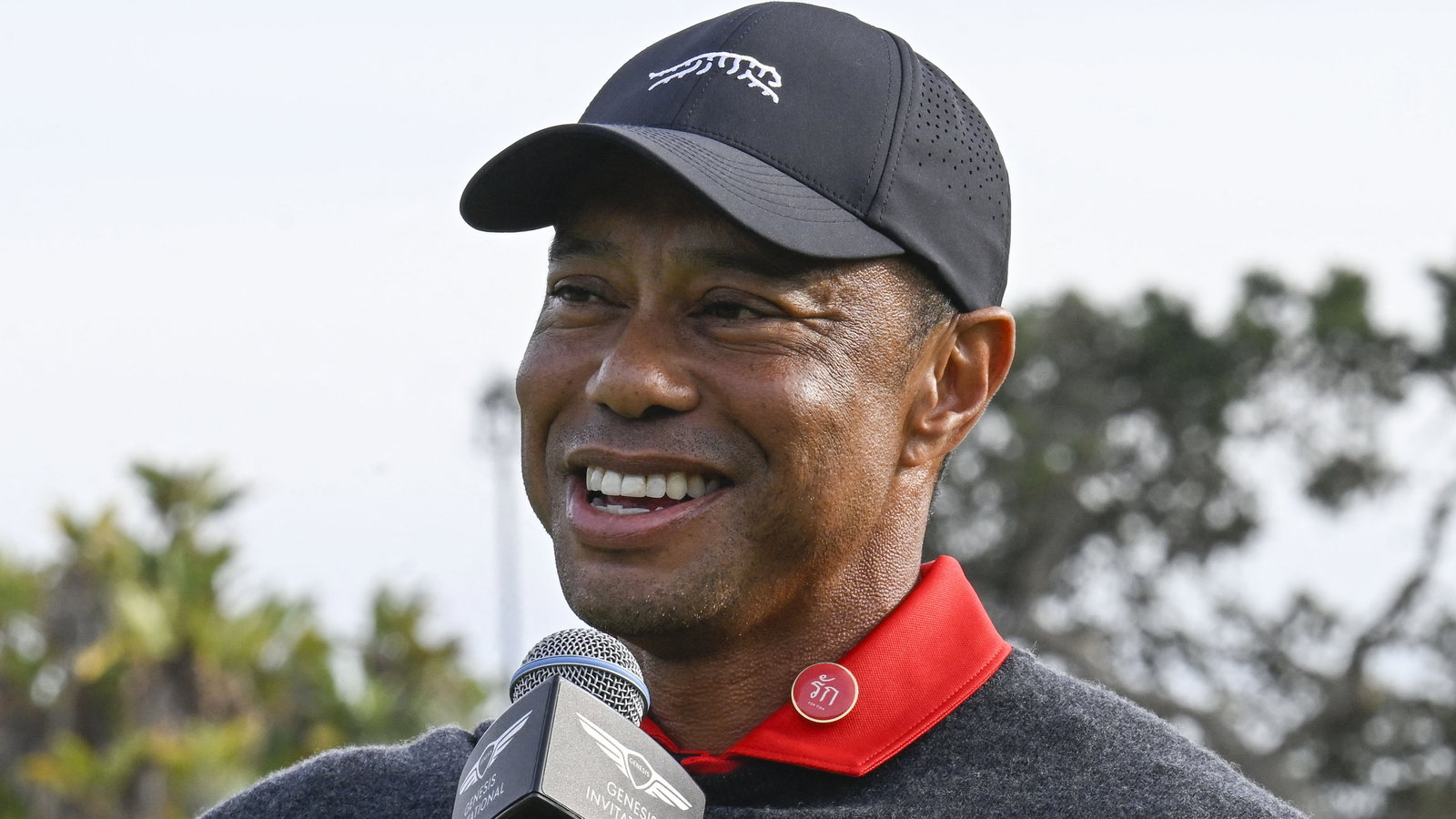 Tiger Woods