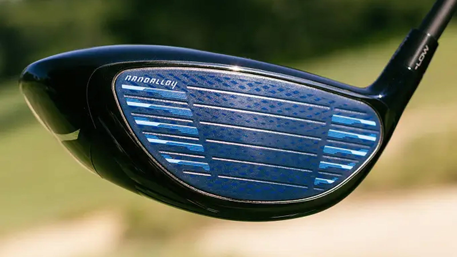 Courtesy Mizuno