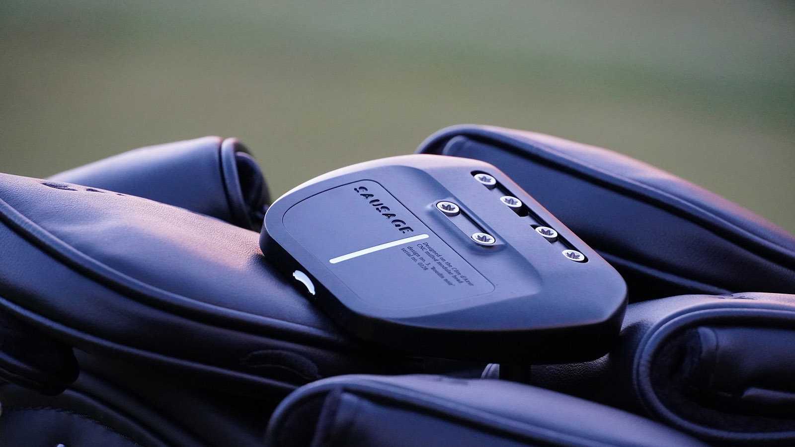 Courtesy Sausage Golf