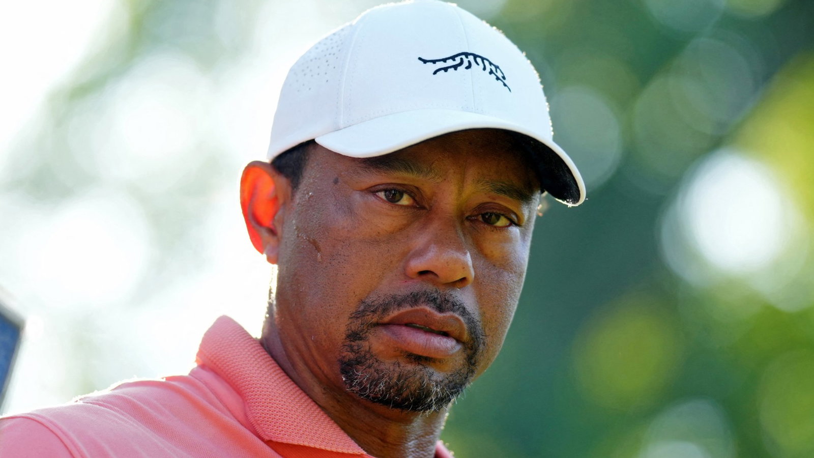 Tiger Woods