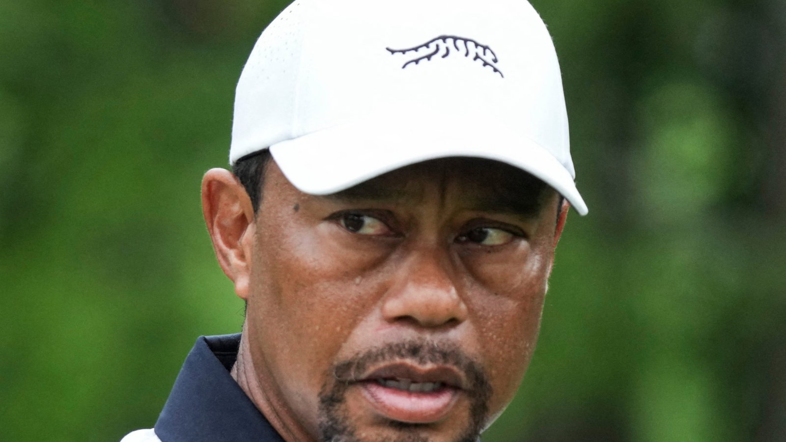 Tiger Woods