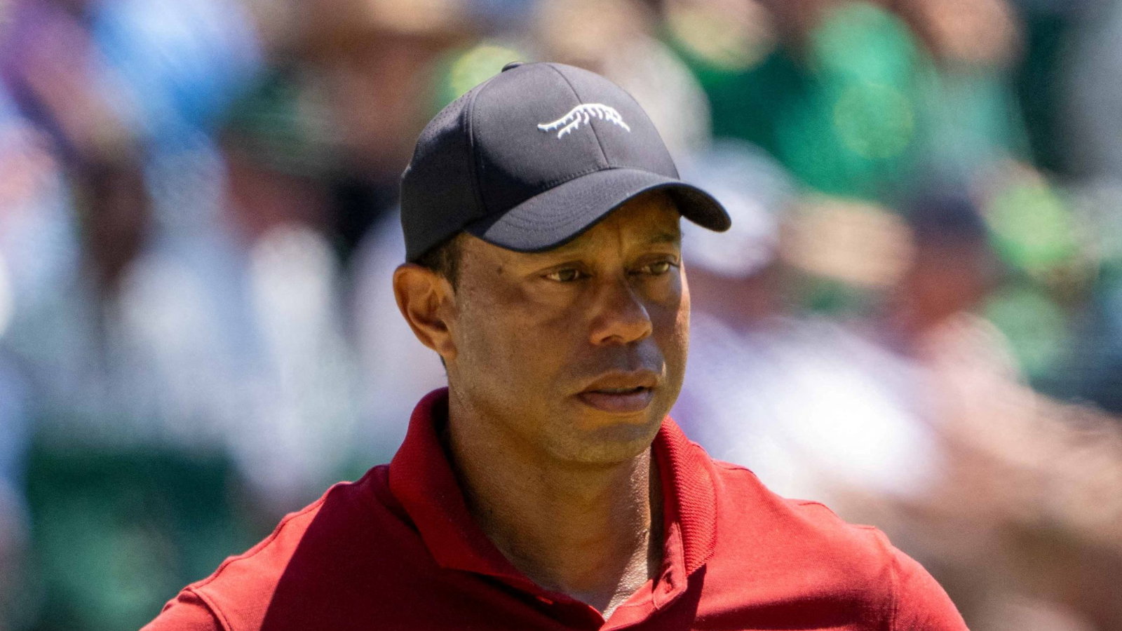 Tiger Woods