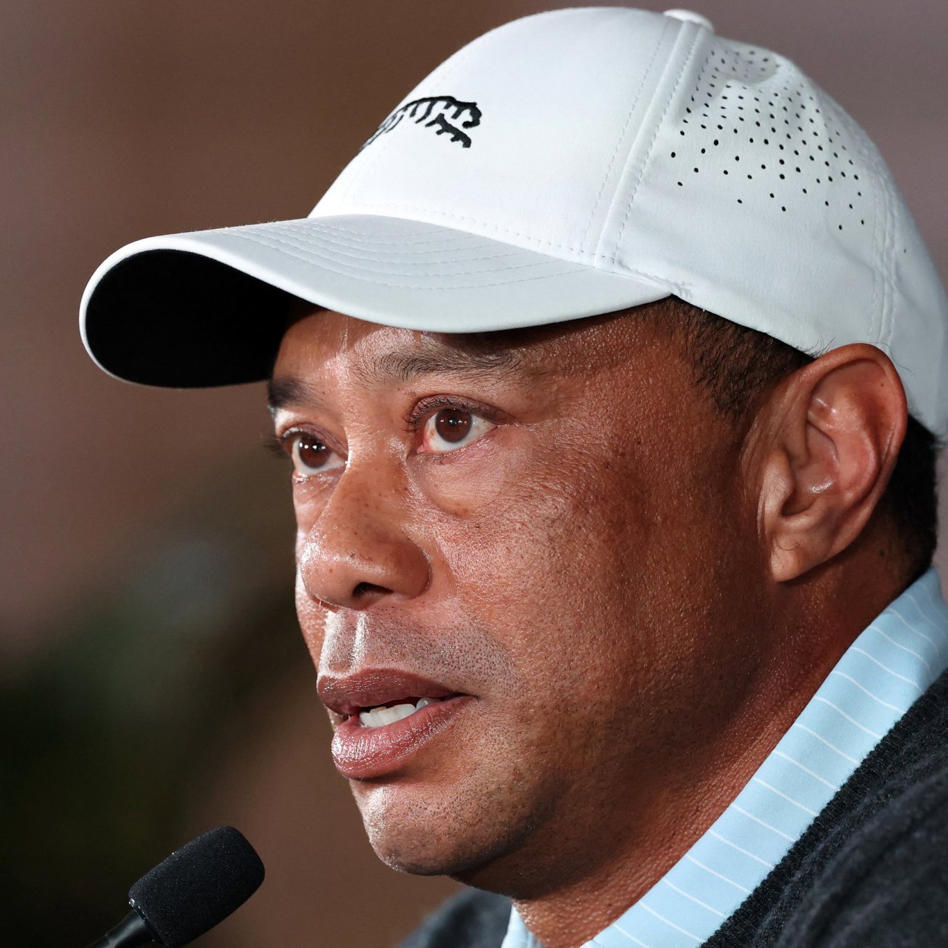 Tiger Woods