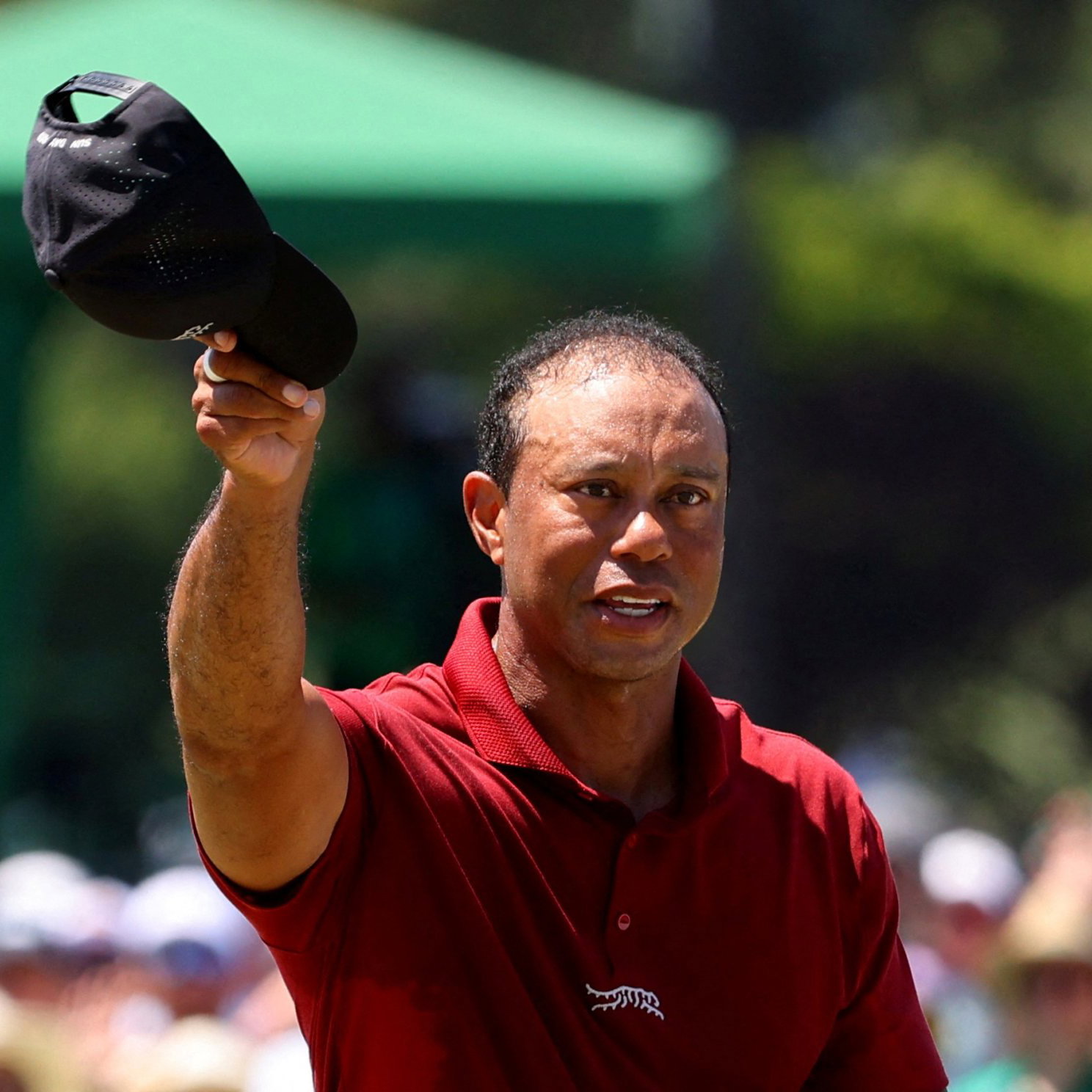 Tiger Woods