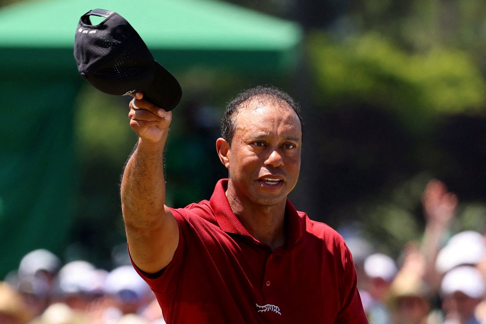 Tiger Woods