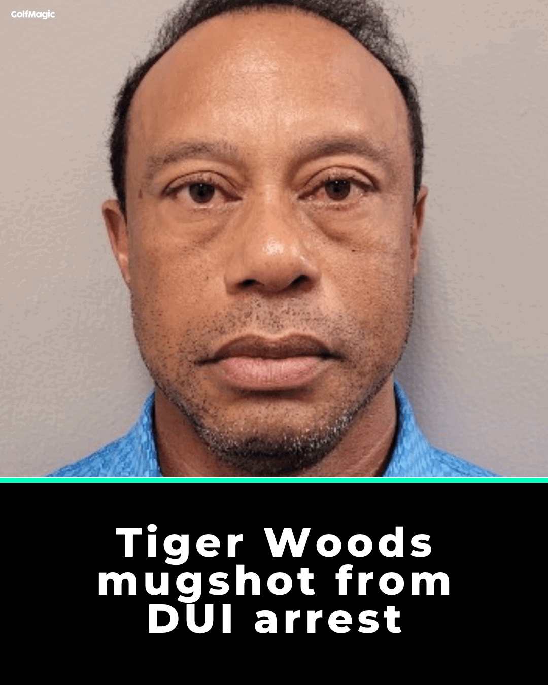 Tiger Woods' mugshot on Friday 27 March